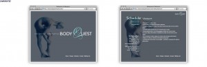 bodyquest web