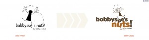 bsn logo